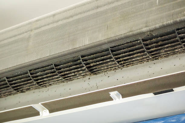 Best Dryer Vent Cleaning Services  in Williamsville, NY